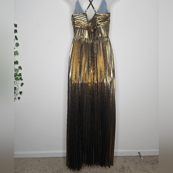NWT Banana Republic Raggiera Pleated Gold Metallic Maxi Dress Corset Bodice - Picture 10 of 16